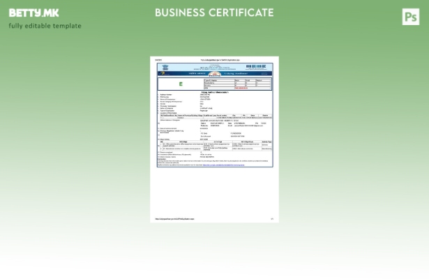 модерен стил Индија Udyog Aadhaar сертификат за регистрација Шаблон Word и PDF, 